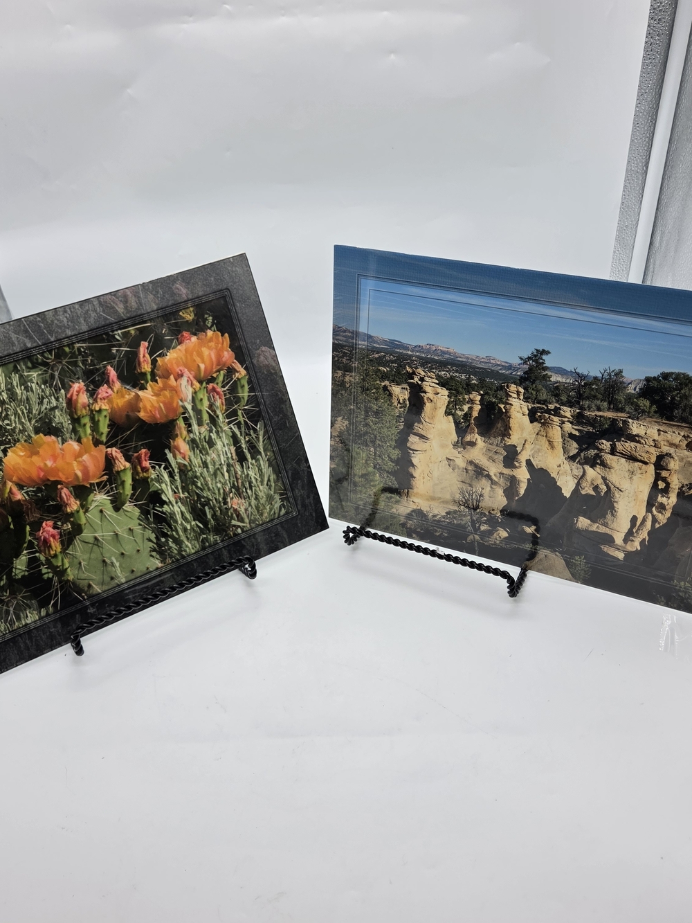 Tracy Hassett Sheep Creek South Cove Signed Color Landscape Photo Lot of 2